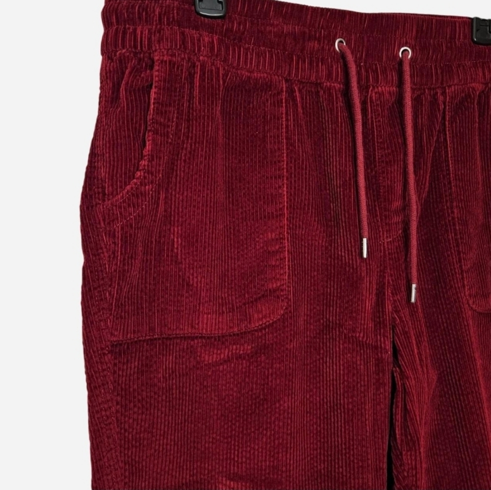 Time and Tru Burgundy Ankle Pants - Picture 2 of 8